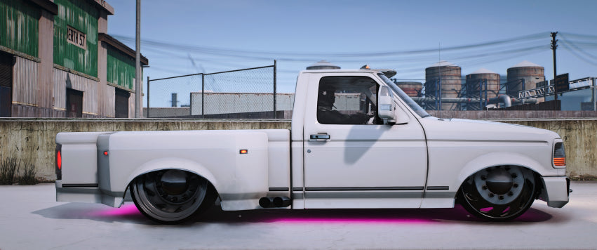 [No Logos] 1996 F350 DUALLYBAGGED Singlecab