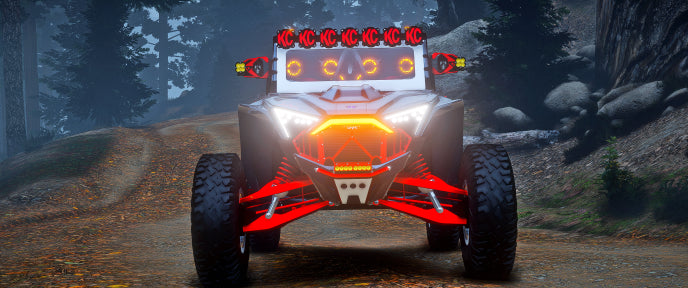 Quad Polaris Korypror