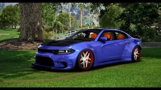 (Debadged LF) Custom Buffalo SX